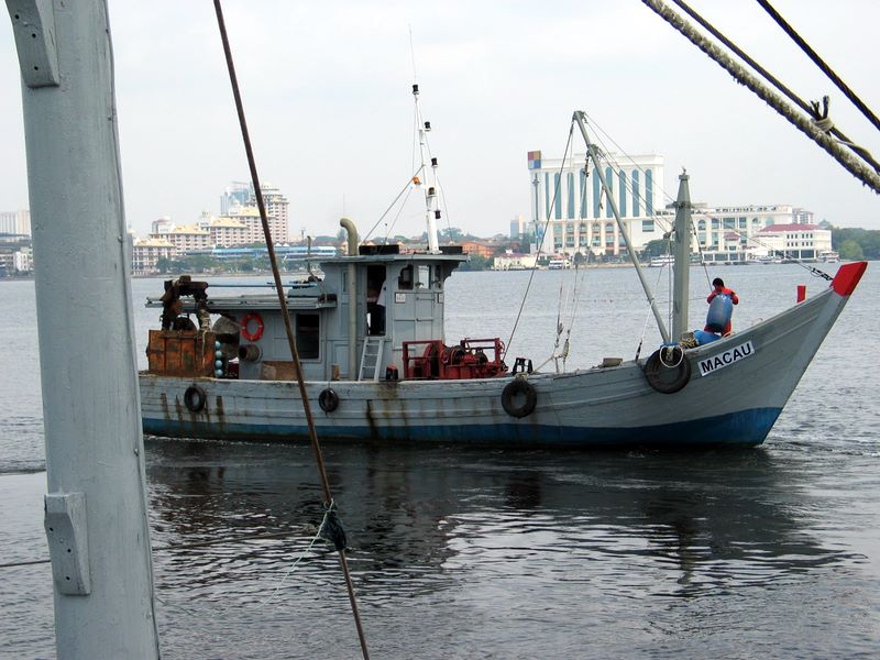 img_7682.jpg (large)