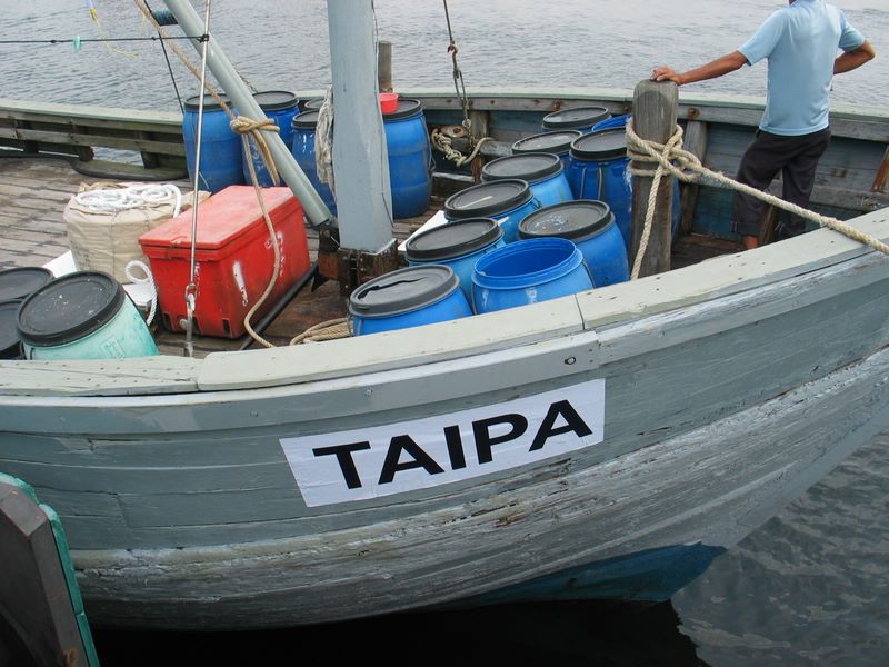 img_7683.jpg (large)