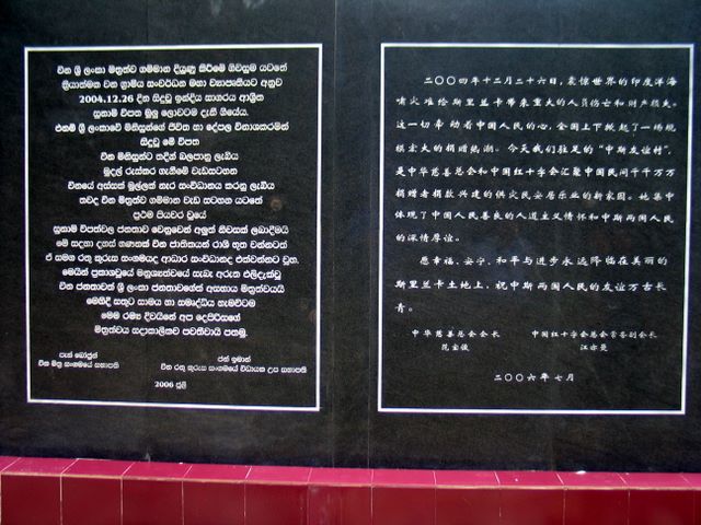 img_8928.jpg (large)