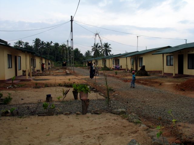 img_8972.jpg (large)