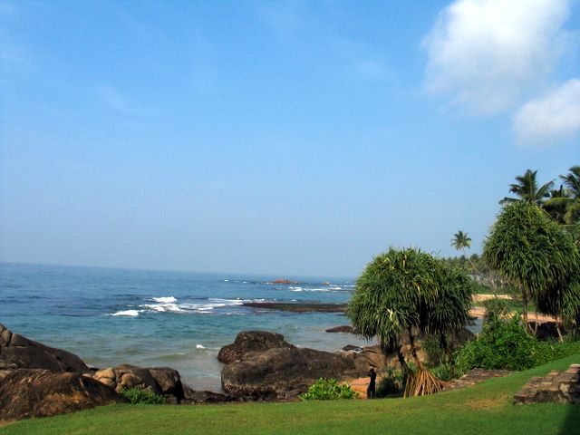 img_9006.jpg (large)