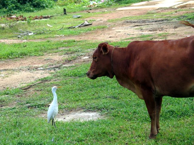 img_9027.jpg (large)