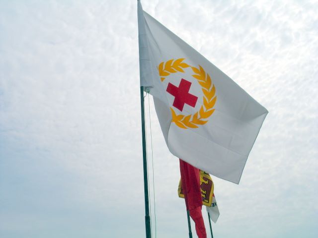 img_9085.jpg (large)