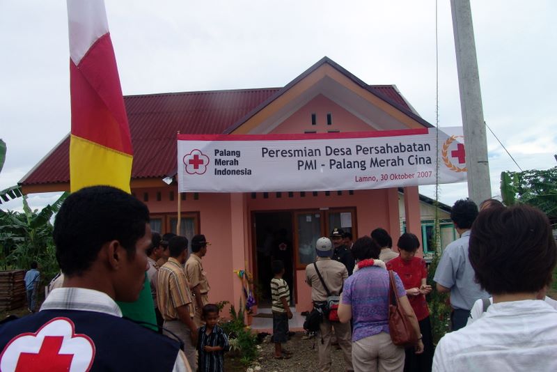 dsc06946.jpg (large)