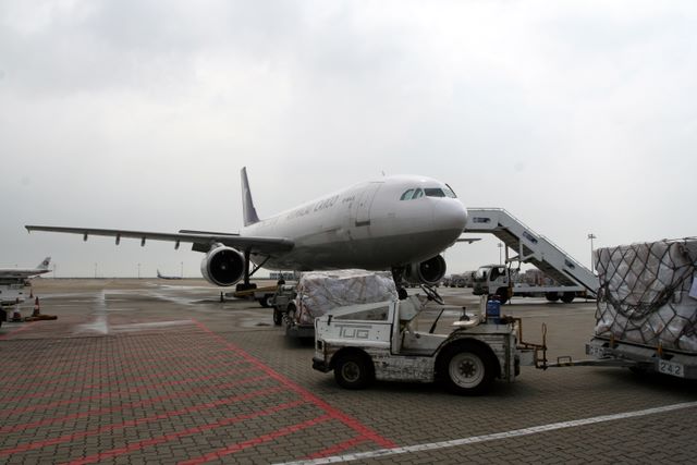 img_1619.jpg (large)