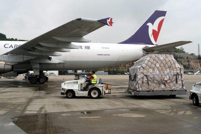 img_1756.jpg (large)