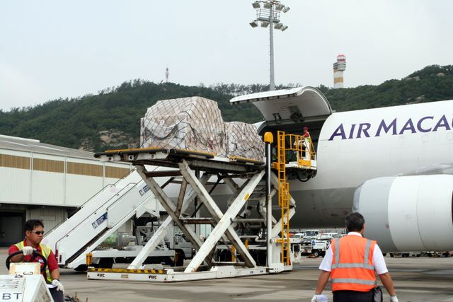 img_1784.jpg (large)