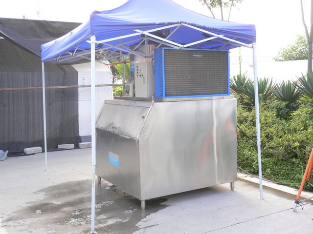 p1050015.jpg (large)