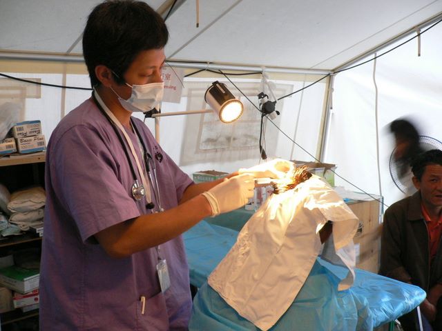 p1050162.jpg (large)